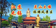 肏逼电江苏无锡灵山大佛旅游风景区