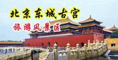 老骚逼私密自慰爆操天堂自慰影院中国北京-东城古宫旅游风景区